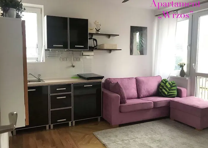 Deluxe Panska Apartments